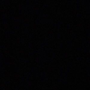 Meet your Posher, Darien